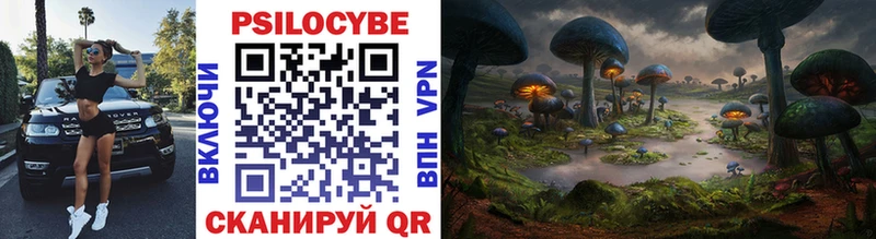 где купить наркотик  MEGA ссылки  Галлюциногенные грибы MAGIC MUSHROOMS  Островной 