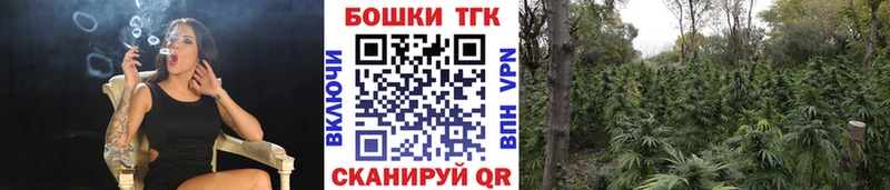 Конопля семена  купить наркотик  Островной 